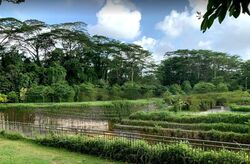 Holland Green (D10), Detached #460176021